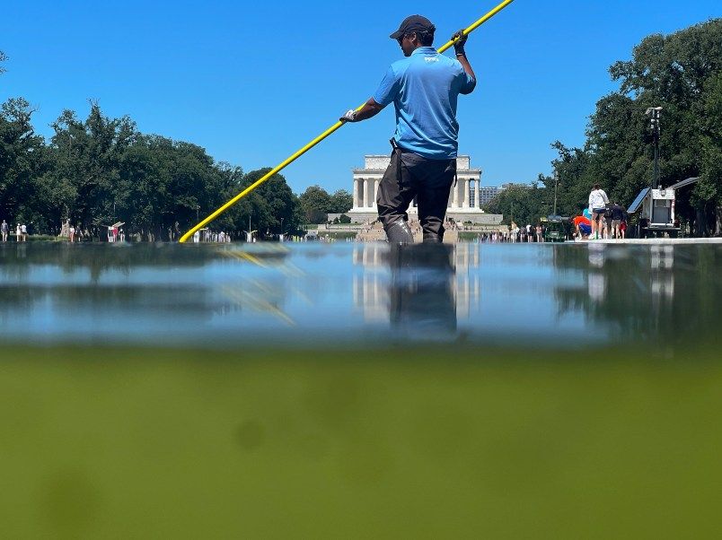 A National Park Service employee cleans algae from the newly repainted Lincoln Memorial Reflecting Pool on June 16, 2026, in Washington, DC. - Chip Somodevilla/Getty Images
