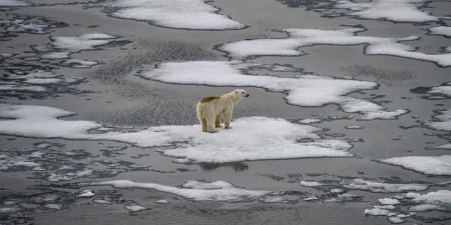 Franz Josef Land archipelago in the Arctic Ocean, Aug. 16, 2021. - lemonde.fr