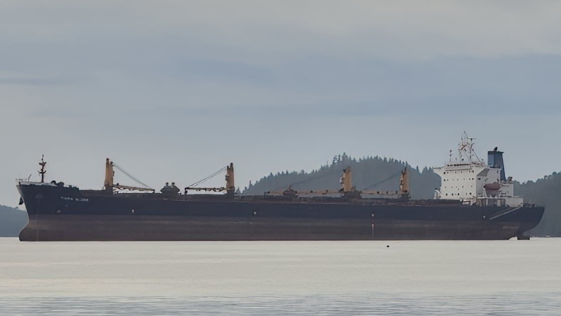 The Ocean Winner was carrying 72,100 tonnes of iron ore fines. - Vesselfinder