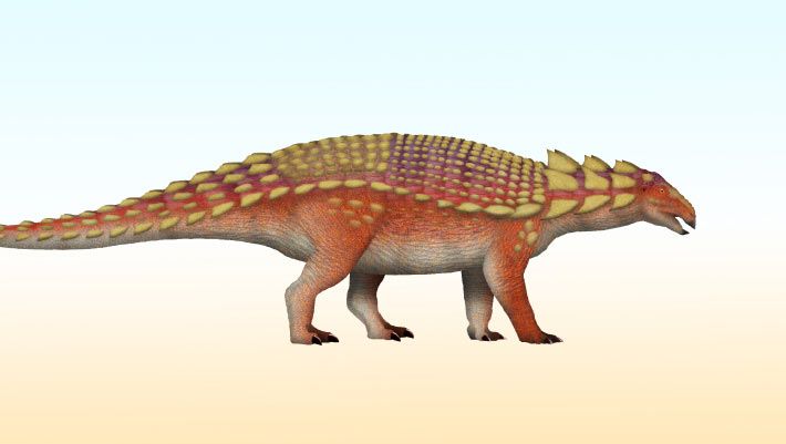 Illustration of Nipponopelta yezoensis, a newly identified armored dinosaur from Hokkaido, Japan. - TotalDino / CC BY 4.0