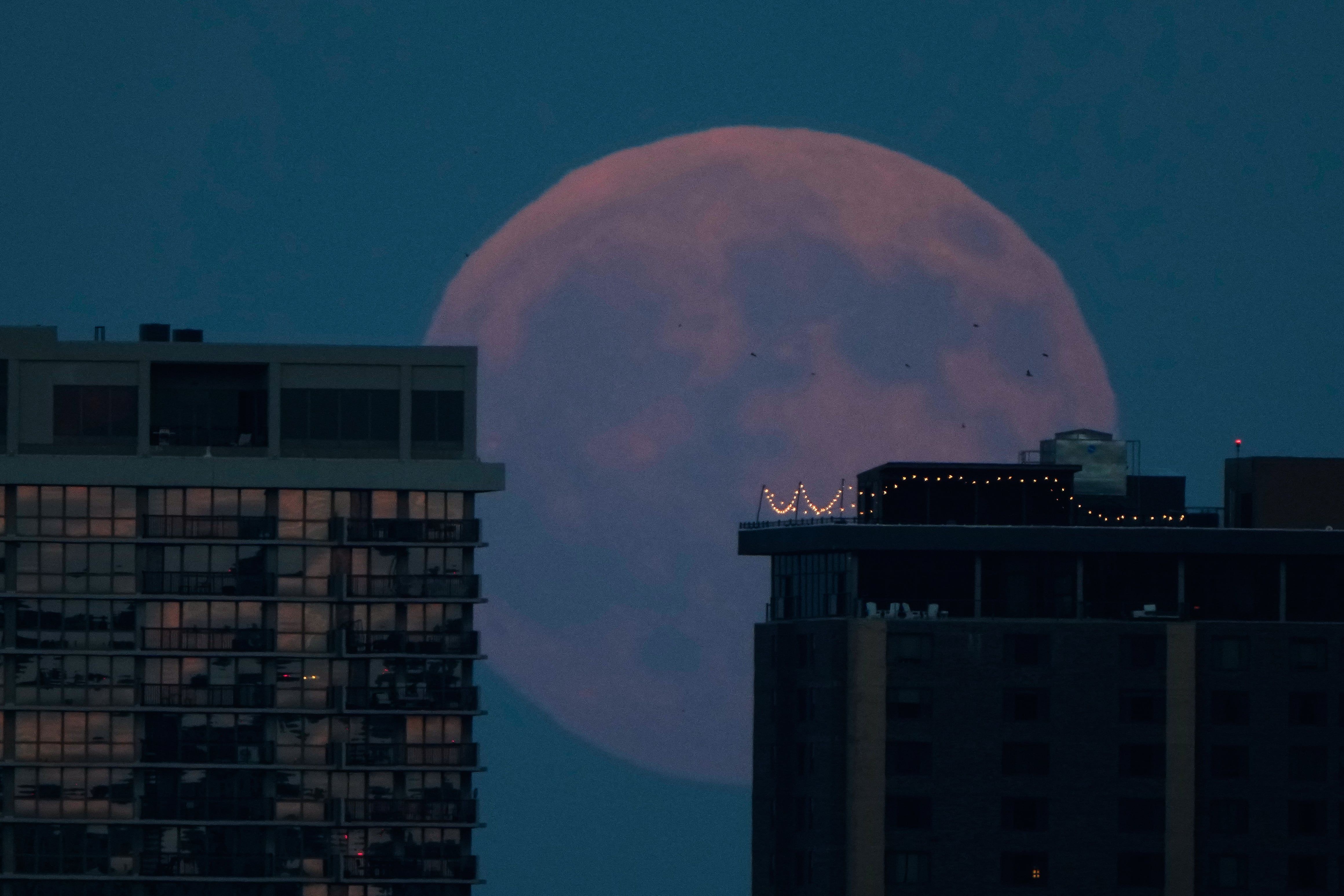 The full moon rises beyond apartment buildings in downtown Kansas City, Mo. before a lunar eclipse Thursday, Aug. 27, 2026. - elpais.com