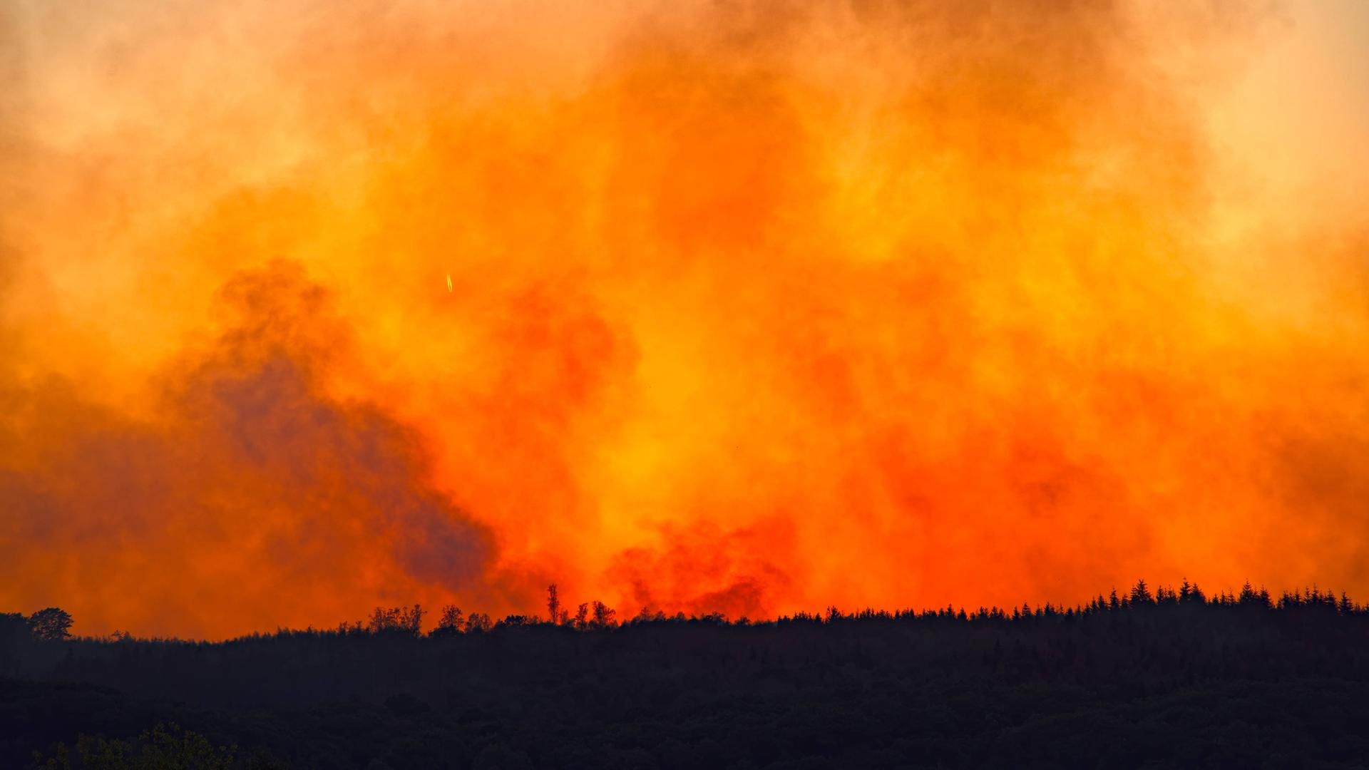 Wildfire smoke pictured in coverage of the WMO warning on heatwaves, fires and air pollution. - mdr.de